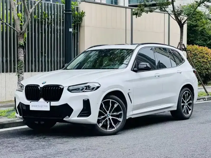 BMW X3 BMW X3 2023 xDrive30i Leading Type M Night Package, 2023 — фото 1