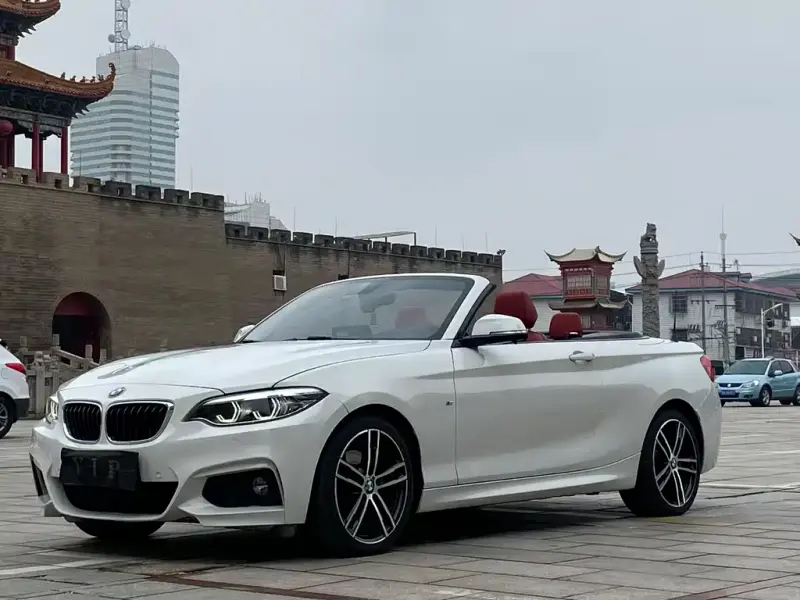 BMW 2 Series (Import), 2019