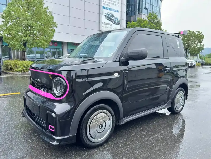 Galaxy Panda, 2024
