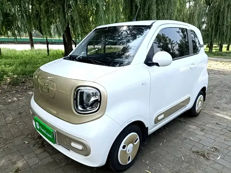 Bestune Pony, 2024
