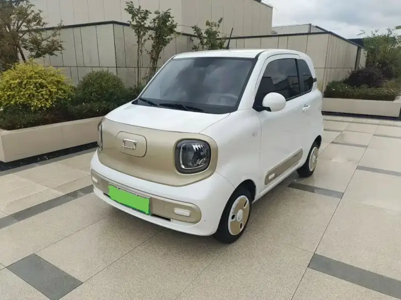 Bestune Pony, 2024