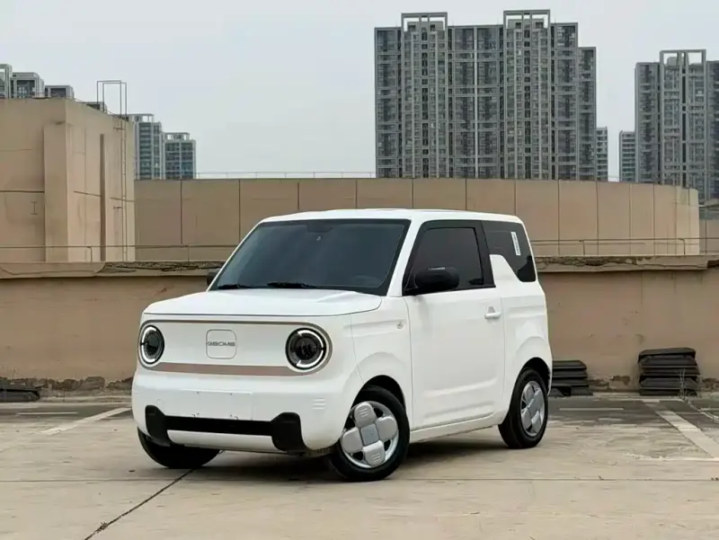 Galaxy Panda, 2025