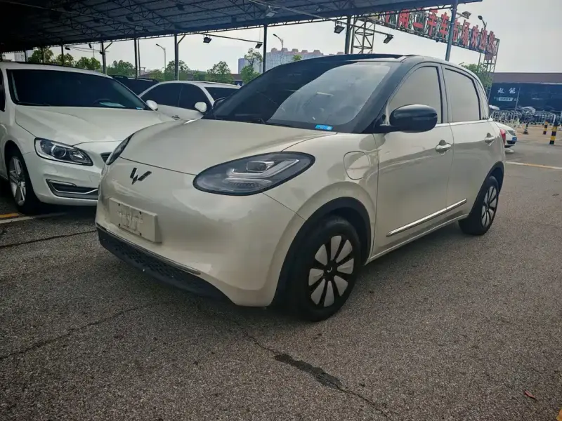 Wuling Bingo, 2024