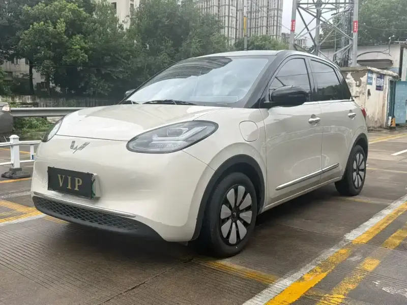 Wuling Bingo, 2024