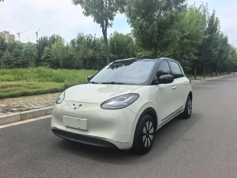 Wuling Bingo, 2023