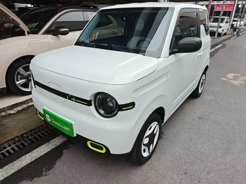 Galaxy Panda, 2025
