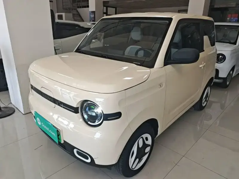 Galaxy Panda, 2025
