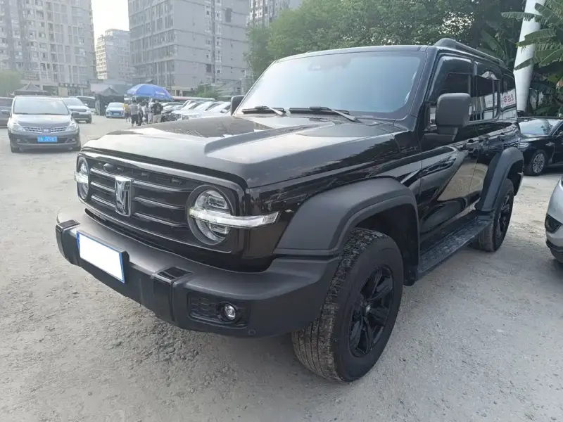 Tank 300, 2020