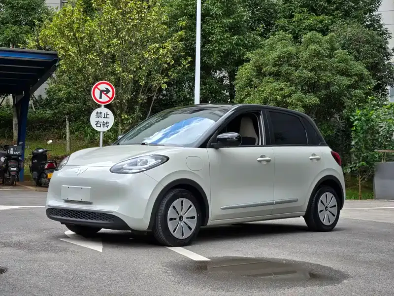 Wuling Bingo, 2024