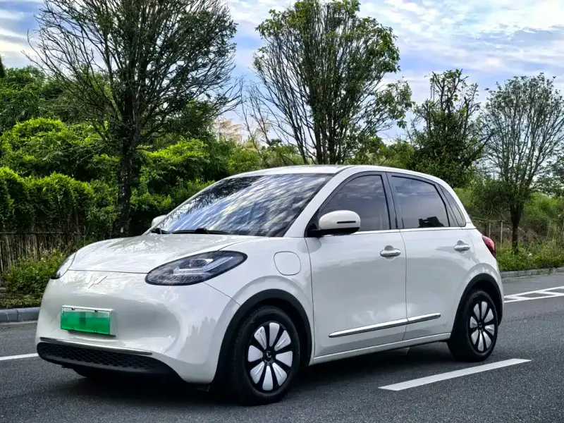 Wuling Bingo, 2023