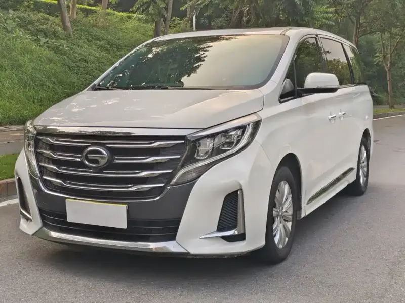 GAC Motor Trumpchi M8, 2021