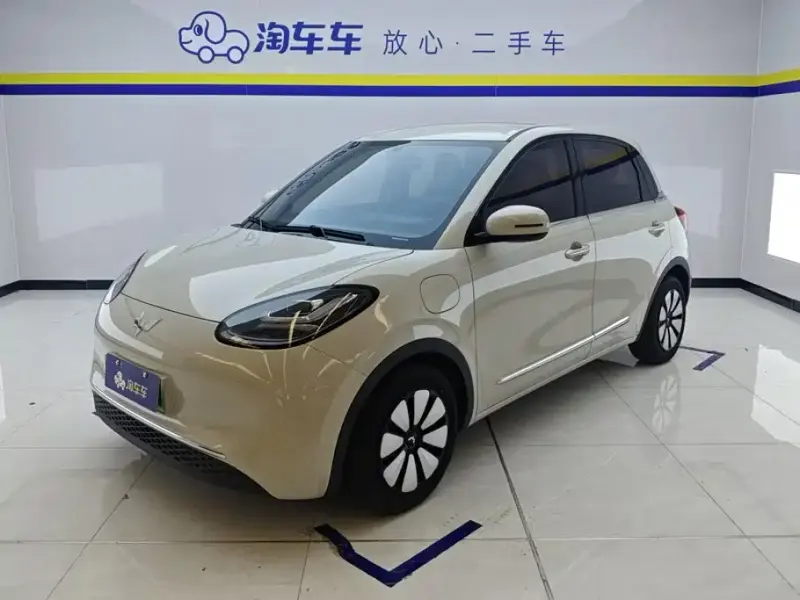 Wuling Bingo, 2024