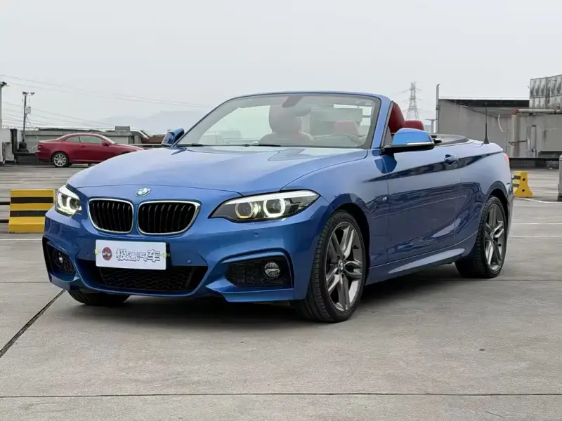 BMW 2 Series (Import), 2018