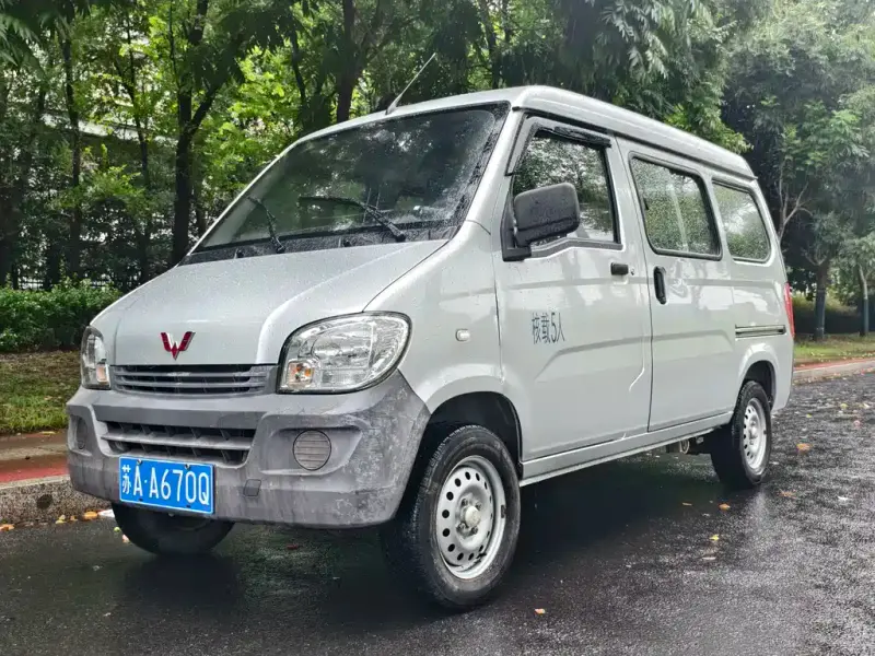 Wuling Zhiguang, 2020
