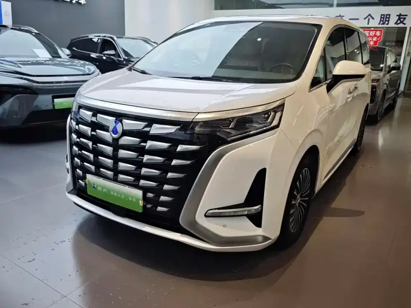 Denza D9, 2024