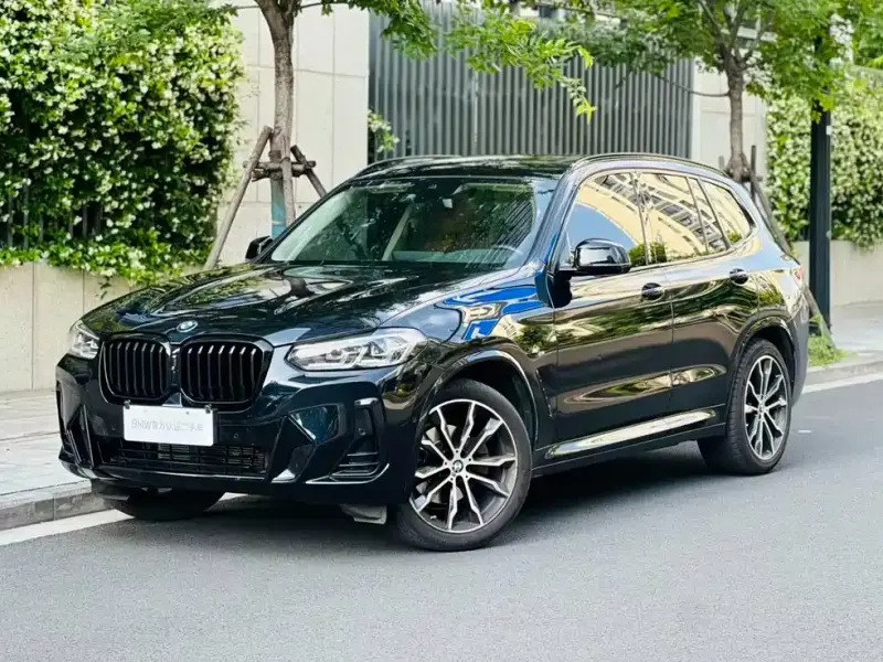 BMW X3 BMW X3 2023 xDrive30i Leading Type M Night Package, 2023 — фото 1