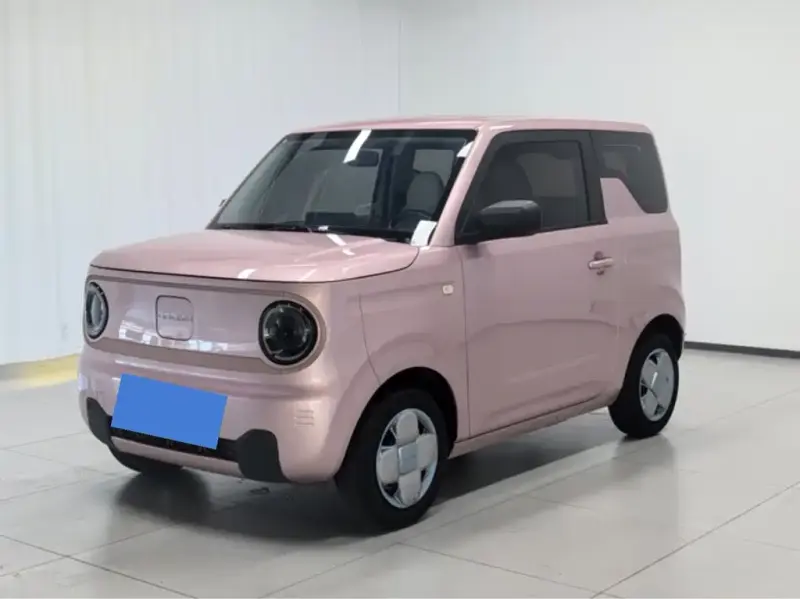 Galaxy Panda, 2024