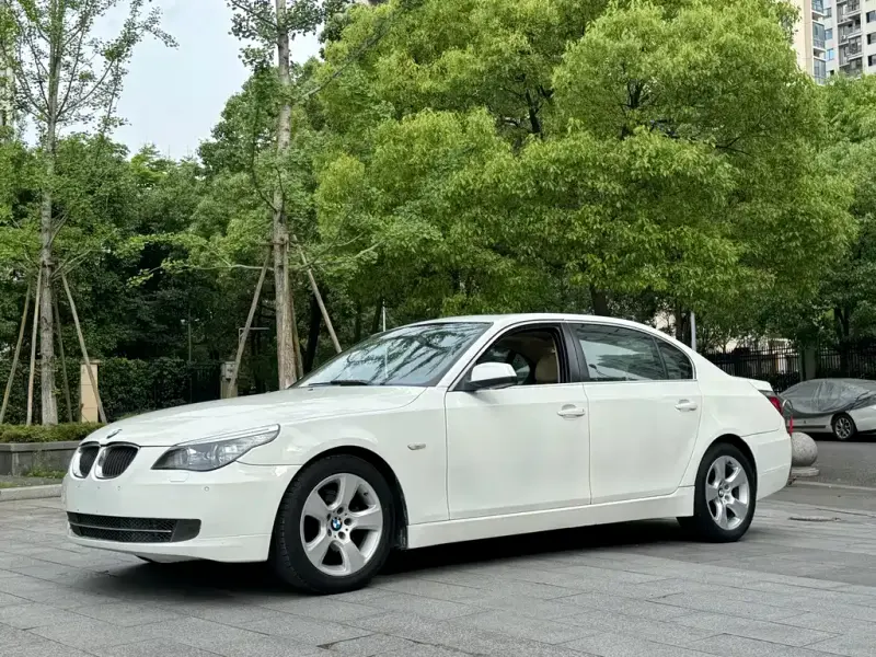 BMW 5 Series, 2009