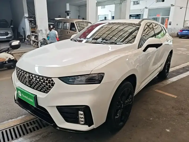 Wey VV7, 2019