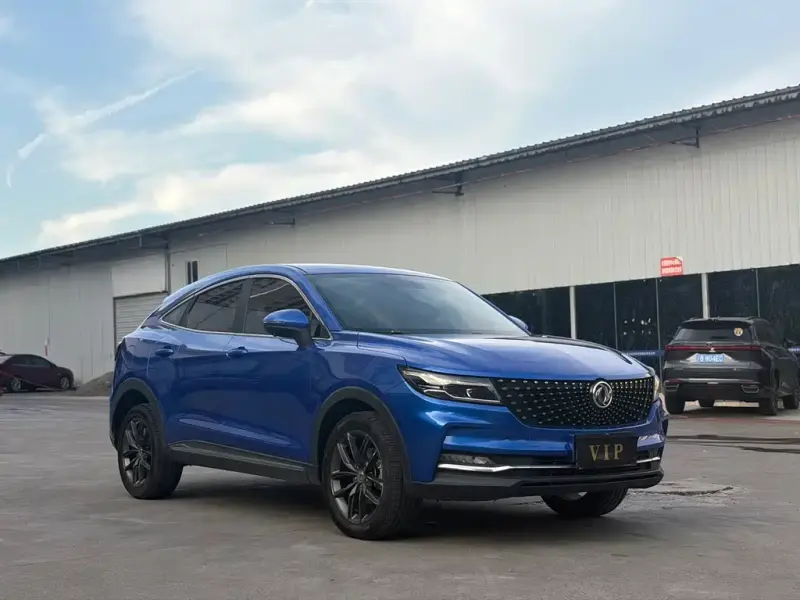 Fengguang ix5, 2019