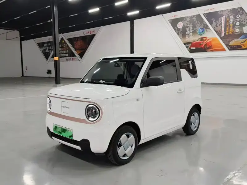 Galaxy Panda, 2025