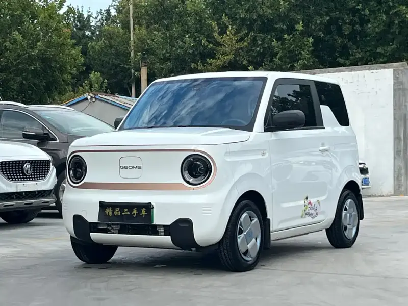 Galaxy Panda, 2025