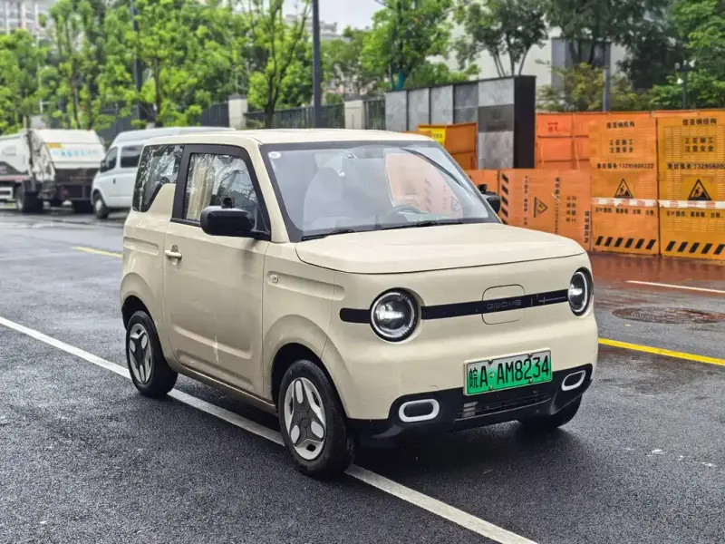 Galaxy Panda, 2025