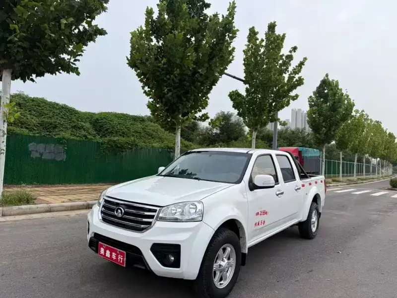 Great Wall Fengjun 5, 2019