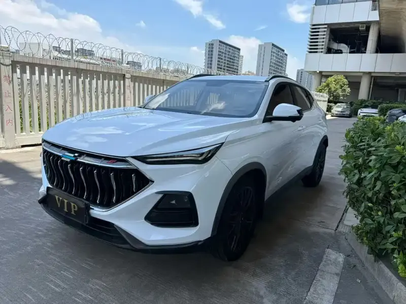 Oshan Oushang X5, 2021