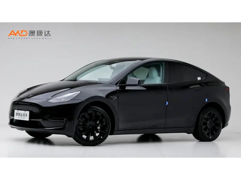 Tesla Model Y, 2022