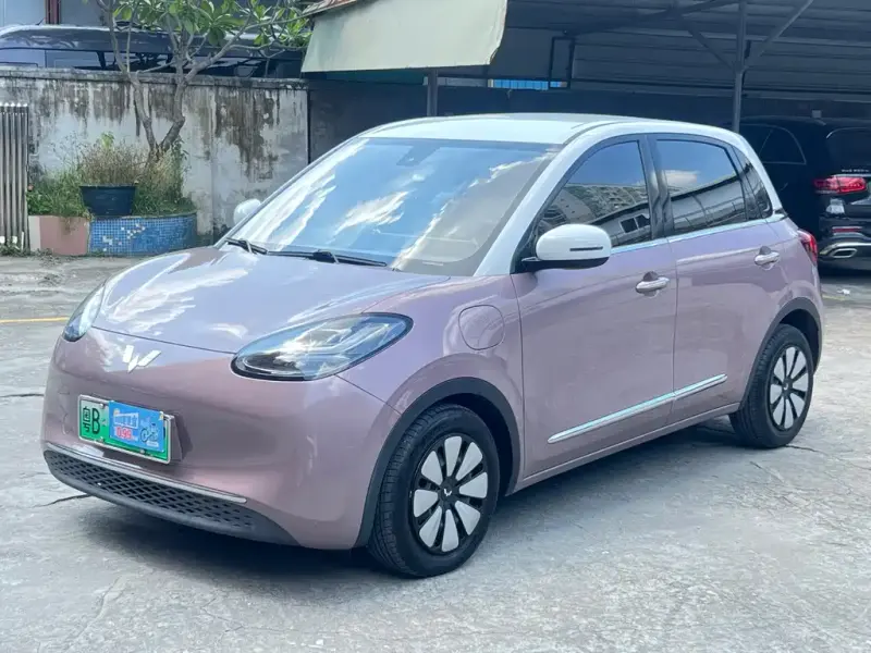 Wuling Bingo, 2024
