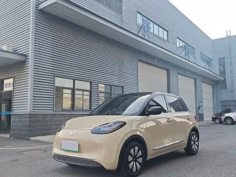 Wuling Bingo, 2025