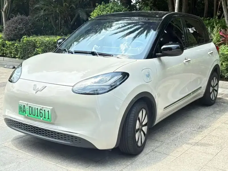 Wuling Bingo, 2024