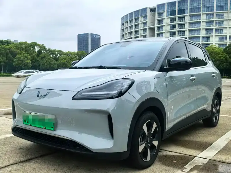 Wuling Bingo PLUS, 2024