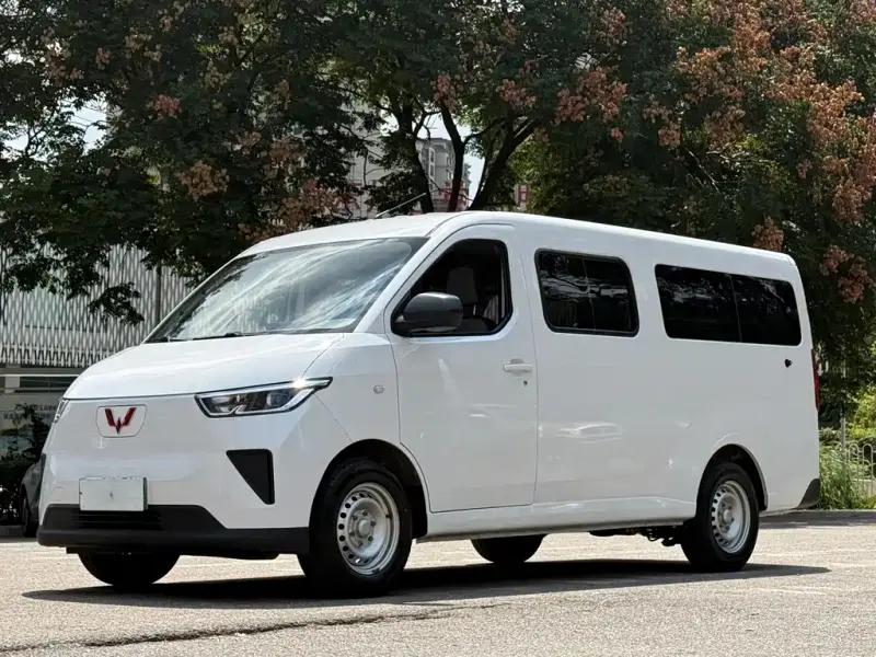 Wuling Yangguang, 2024