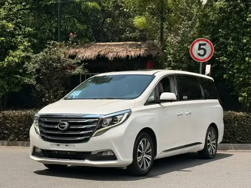 GAC Motor Trumpchi M8, 2018