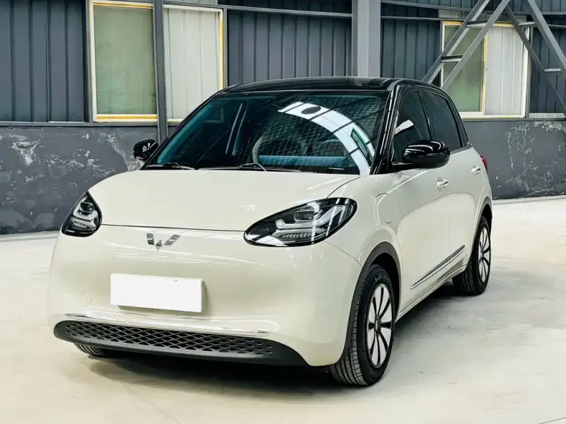 Wuling Bingo, 2024