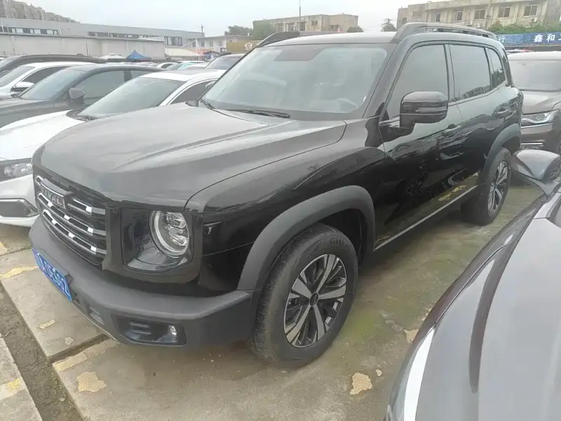 Haval Big Dog Haval Dargo (Big Dog) 2022 1.5T DCT 2WD Labrador Edition, 2022 — фото 1