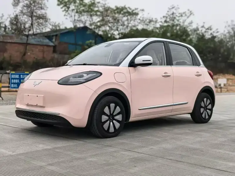 Wuling Bingo, 2026