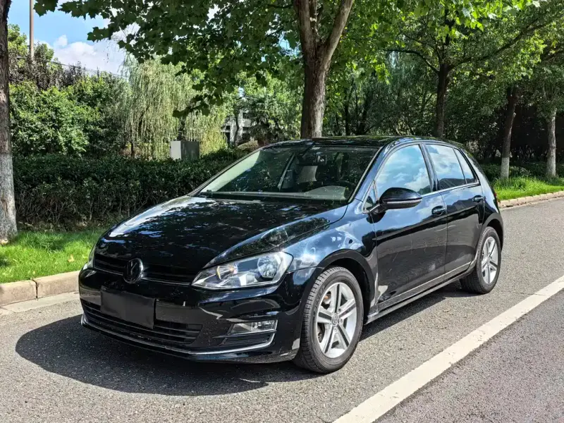 Volkswagen Golf Volkswagen Golf 2014 1.4TSI Auto Luxury Type, 2014 — фото 1