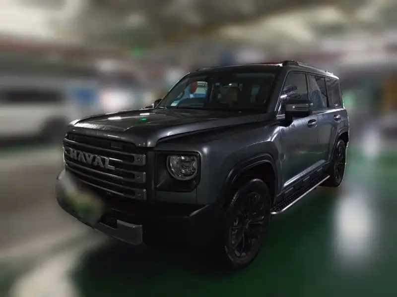 Haval Menglong New Energy, 2024