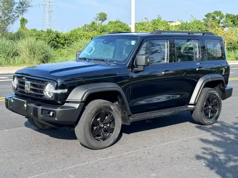Tank 300, 2021