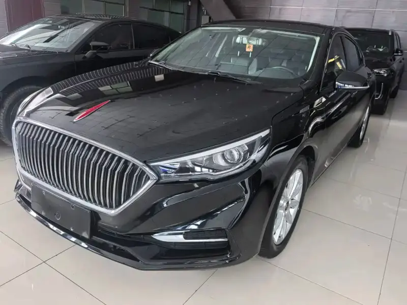 Hongqi H5, 2020
