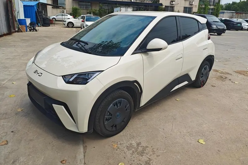 BYD Seagull, 2025