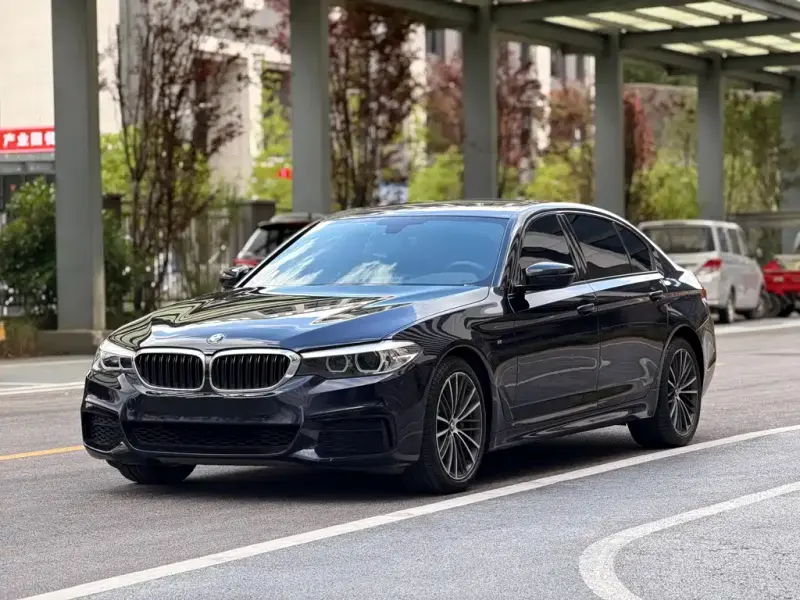 BMW 5 Series BMW 5 Series 2019 Facelift 530Li Leading Type M Sport Package, 2019 — фото 1