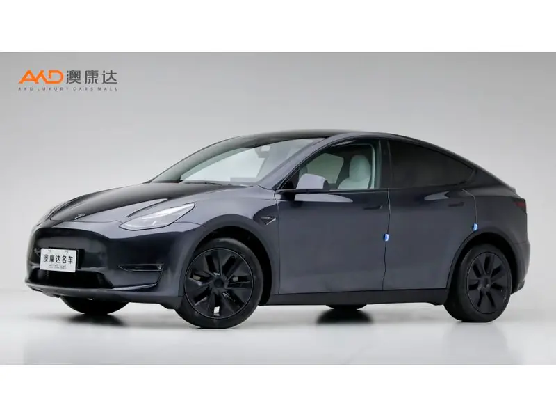 Tesla Model Y, 2024