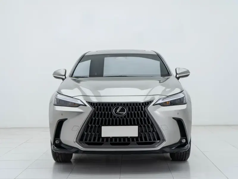 Lexus NX, 2022