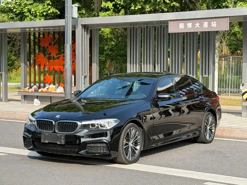 BMW 5 Series, 2019