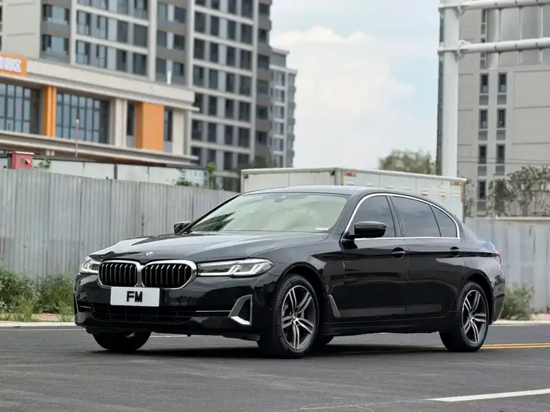 BMW 5 Series BMW 5 Series 2023 530Li Leading Type Luxury Package, 2024 — фото 1