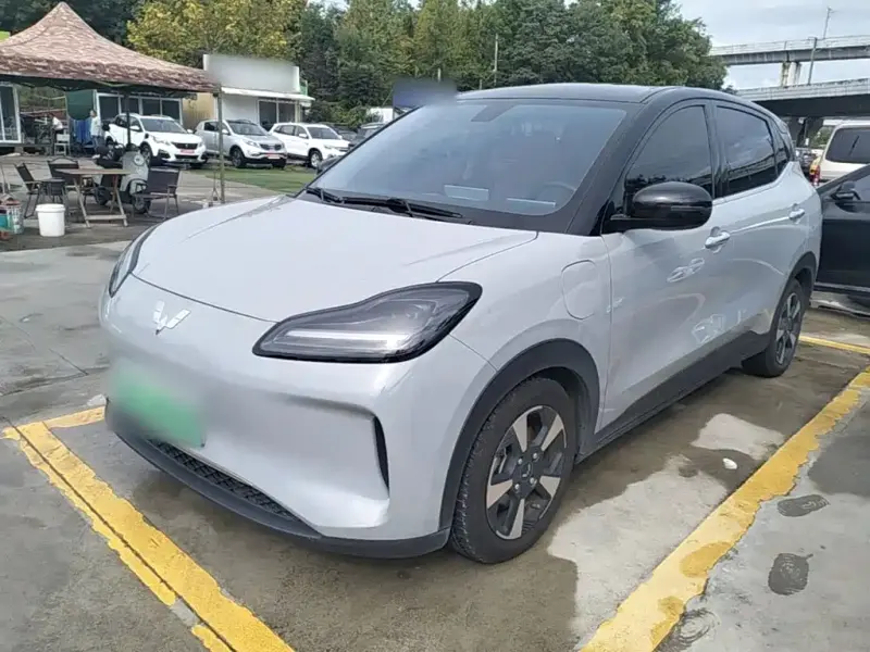 Wuling Bingo PLUS, 2024